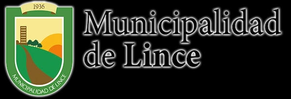 Municipalidad de Lince Municipalidad de Lince